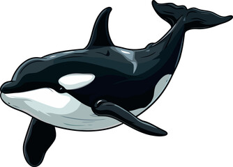 Obraz premium animali Marini, squalo, orca e tartaruga 07