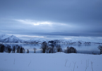 Buksnesfjord in inverno, Vesterålen. Norvegia, Nordland - obrazy, fototapety, plakaty