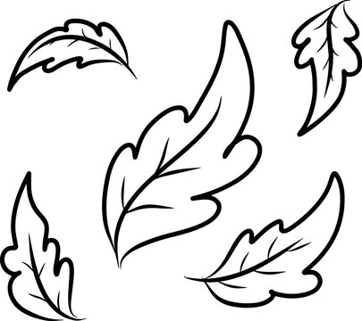 Hand drawing line of leaf design vector graphic illustration