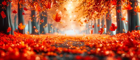 Photo sur Plexiglas Rouge Autumns Embrace: A Forest Bathed in Golden Light, Where the Ground is a Canvas Painted with the Hues of Falls Finale