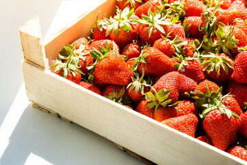 Freshly harvested strawberries in a wooden box. Red juicy strawberries.