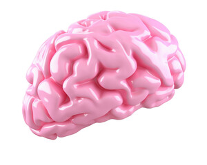 Brain, single object ,3D  illustration isolated on white background , 3D, single object,isolated, white background