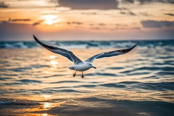 seagull is flying in the sky above the sea at dawn