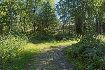 Old cobblestone path at Slåttmossen (oasis swamp) nature reserve in summer, Jakomäki, Helsinki, Finland.