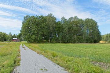 Fototapeta na wymiar Gravel road to Offerlund sacrificial grove in summer, Raasepori, Finland.