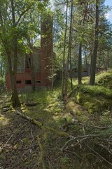 Old abandoned building on the island of Jussarö in summer, Raasepori, Finland.