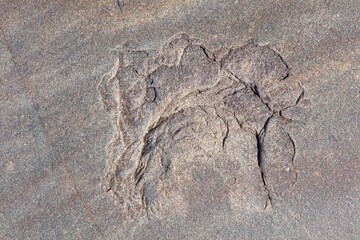 Closeup of seamless rock texture with cracks for backgrounds.