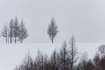 北国の冬の風景
