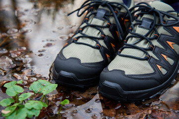 Hiking boots stands on forest floor, submerged in water puddle, surrounded by fallen leaves. Sturdy trekking shoes against a backdrop of forest terrain. Concept of exploration and outdoor activities