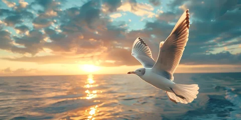 Fotobehang Seagull Soaring High Over Majestic Ocean Sunset with Dramatic Skies and Tranquil Horizon © Thares2020