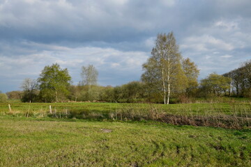 Obraz premium Ein erster Hauch von Grün