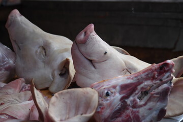heads of domestic pigs are sold on a market.