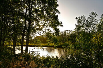 Warmer Sommerabend am Kanal