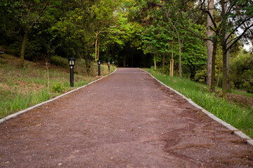 Scenic View of a Path through a Beautiful Green Garden