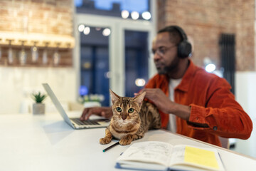 Young man in red shirt at the laptop with his cat