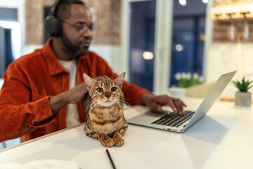 Young man in red shirt at the laptop with his cat