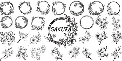 Vector Set of blooming cherry japanese sakura plant. Circled brunch. Isolated on white background. For greeting cards and design © A B design