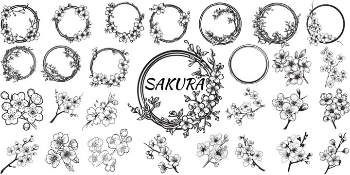Vector Set of blooming cherry japanese sakura plant. Circled brunch. Isolated on white background. For greeting cards and design