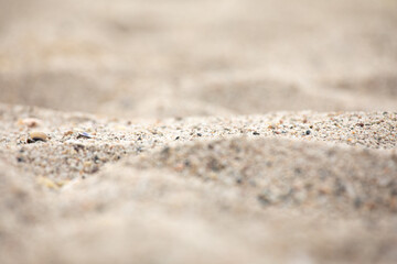 sand on the beach texture background