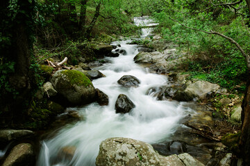 Water flows over rocks in the forest. Environmental conservation