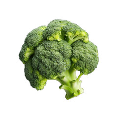 create a High Quality macro a fresh broccoli on white background