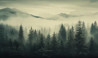 Photo sur Aluminium Kaki Misty landscape with fir forest in vintage retro style