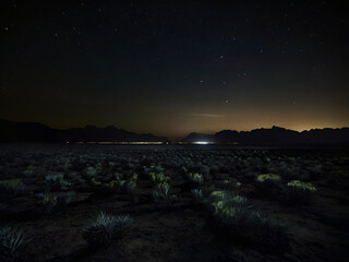 Darkened Landscapes: Landscapes darkened by the collective switch-off of lights