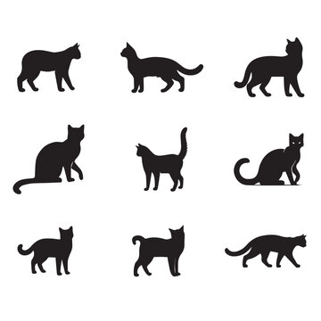 Silhouettes of various cat poses and actions