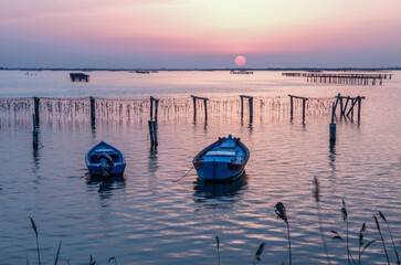 Sacca degli Scardovari, tramonto, polesine, laguna 