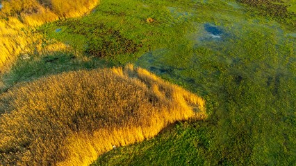 Aerial view of spring, green meadow, sunset reflections on standing water, vibrant colors of...