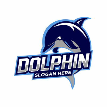 dolphin logo mascot vector illustration