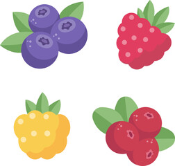 berries set