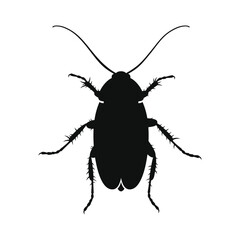 Cockroach Icon on White Background. Vector