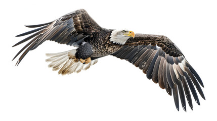 American flag bald flying eagle inside on isolated, Generative Ai 