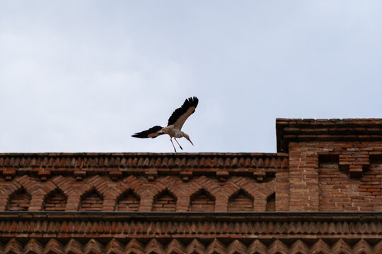 Stork is flying over a building with clouds in the background.