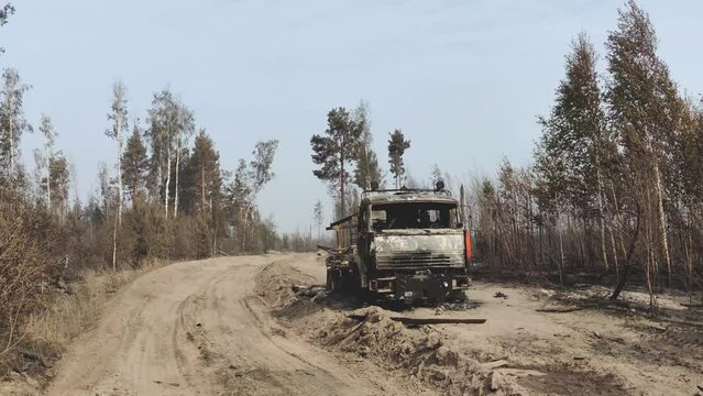 Burnt truck in the woods