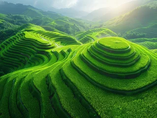 Foto auf Acrylglas Aerial View of Lush Green Valley © jiawei