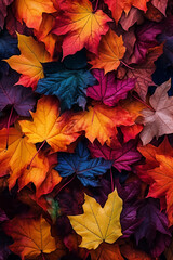 Naklejka na ściany i meble Autumn leaves lying on the floor. Colorful collage
