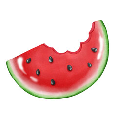 Slice of watermelon watercolor hand draw illustration
