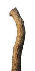 Naklejka premium tree trunk cut off against an isolated background