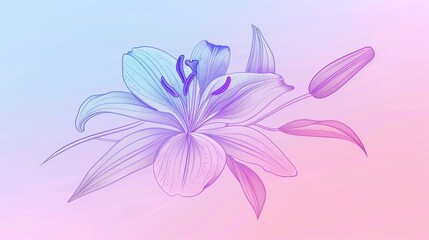  A pink and blue background with a white flower outline