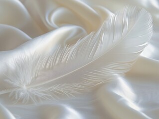 Naklejka premium White Feather on White Satin