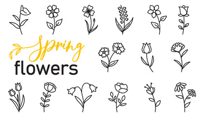 Line design spring flower collection