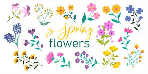 Flat design spring flower collection - obrazy, fototapety, plakaty