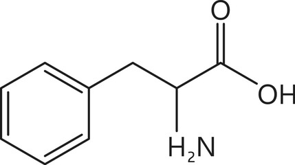 Amino acid, Phenylalanine, chemical formula and essential chain vector structure. Phenylalanine proteinogenic amino acid molecular bond structure and atom connection, medicine and biosynthesis study