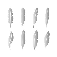 collection of feathers. Isolated on a white background. Vector illustration