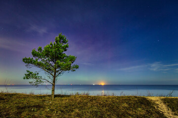 A beautiful beach of the Sobieszewo Island at the Baltic Sea at night. Poland - 768761835