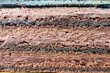 Chocolate cake layer texture and background.