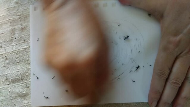 Primer plano de unas manos de una mujer con un borrador eliminando unas lineas en una hoja de color blanca