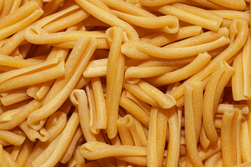 Texture of uncooked casarecce pasta